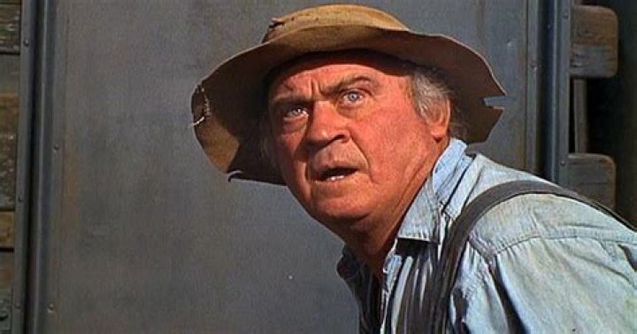 Dub Taylor Filmography, List of Dub Taylor Movies and TV Shows