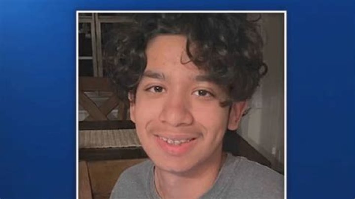 Eduardo Romero Flores Obituary Texas: In loving memory of Livingston ISD student hit