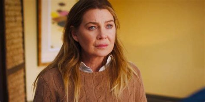 Ellen Pompeo: The Journey Of A Television Icon