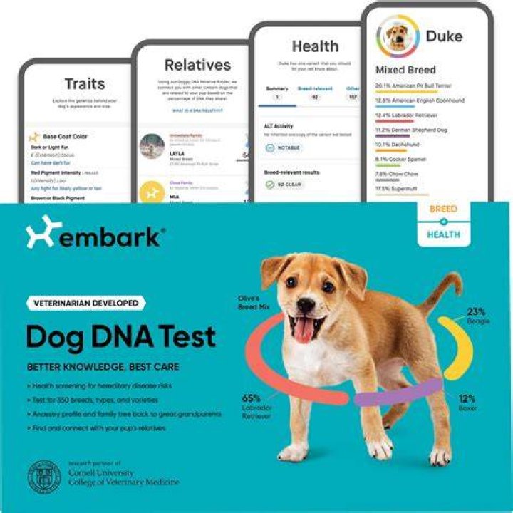 Embark dog dna test kit