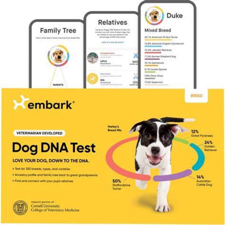 Embarks Health and Breed Identification Kit