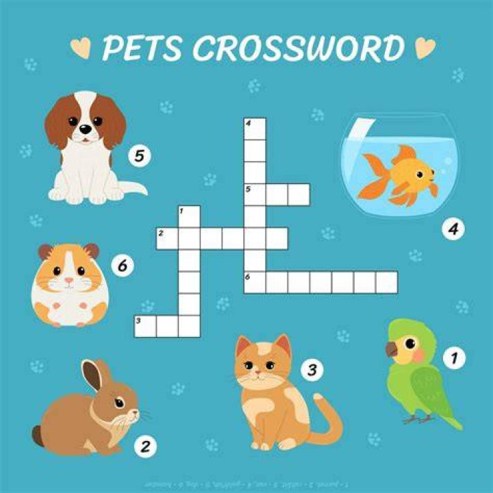 English worksheets pets crosswords