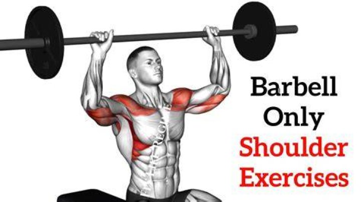 Exercise equipment, Barbell, Shoulder, Physical fitness, Weights, Arm, Barechested, Chest, Standing, Muscle, 