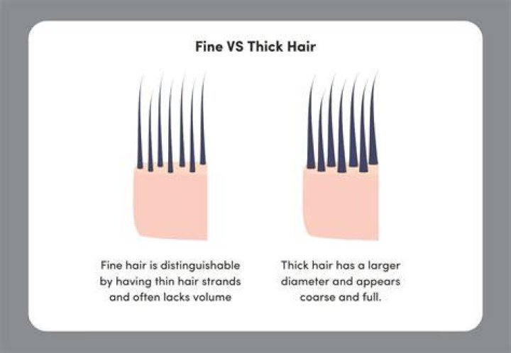 Experts Break Down the Differences Between Fine and Thin Hair