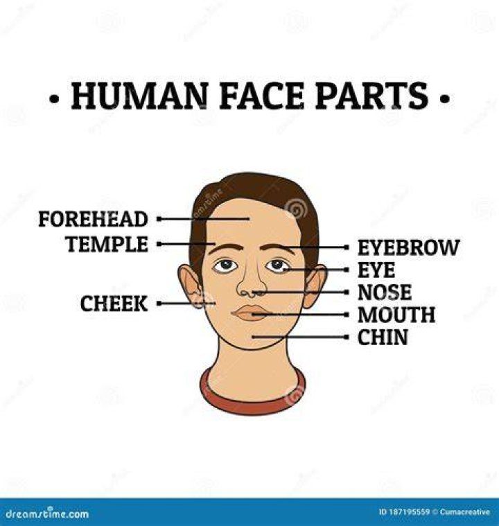 Face, Cheek, Nose, Eyebrow, Forehead, Beauty, Text, Chin, Poster, Ear, 