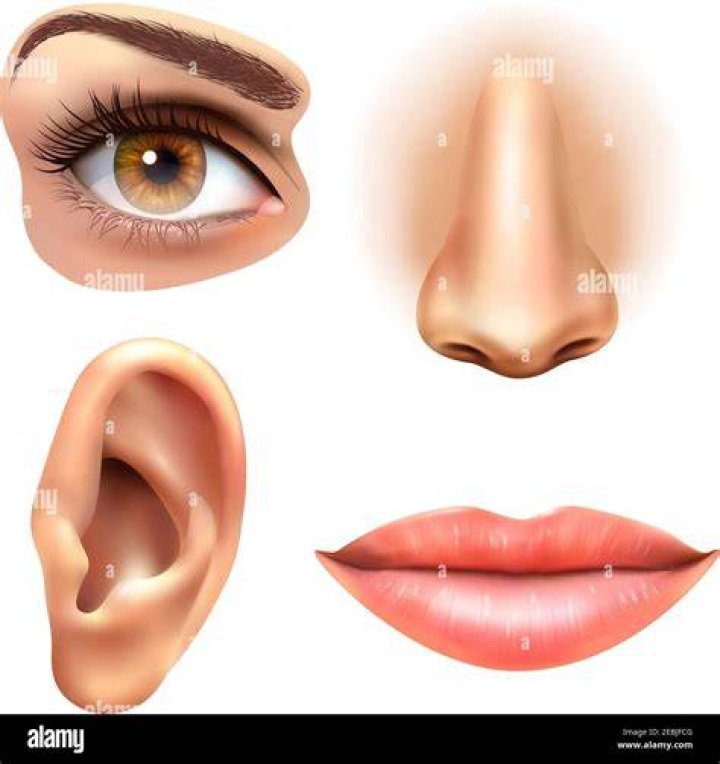 Face, Nose, Human, Mouth, Eye, Hat, Hand, Happy, Fashion accessory, Facial expression, Face, Nose, Human, Mouth, Eye, Hat, Hand, Happy, Fashion accessory, Facial expression,