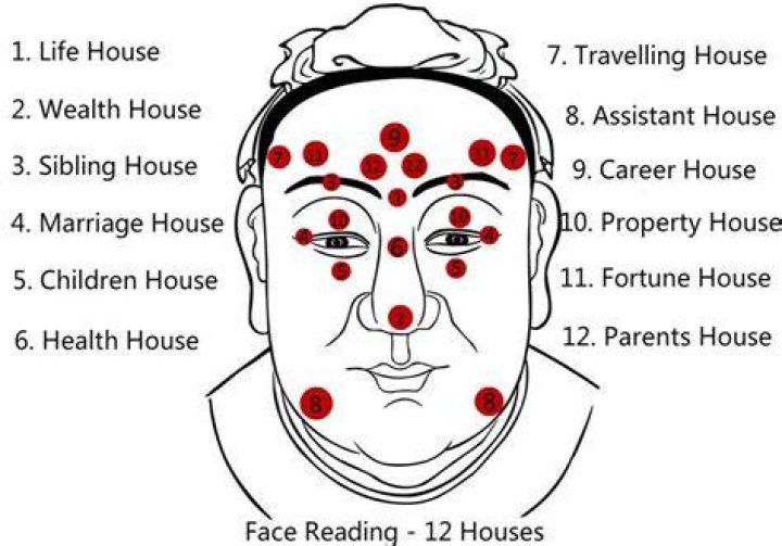 Face Reading: A Detailed Insight into its Working