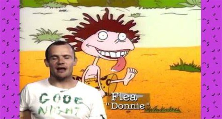 Flea as Donnie Thornberry in The Wild Thornberrys