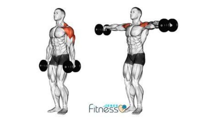 Ejercicios abdominales con mancuerna Flexión lateral con mancuerna