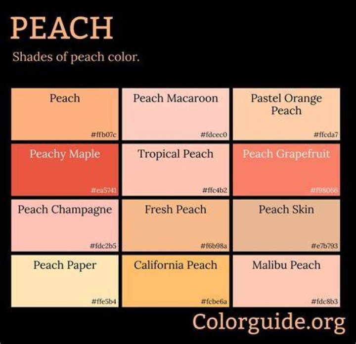 fresh peach on peach colored background