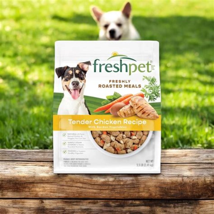 Freshpet&reg; Select Tender Chicken Recipe for Cats
