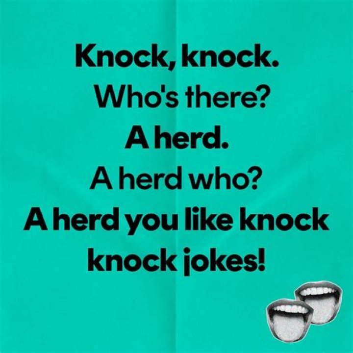 funny knock knock jokes funny knock knock jokes