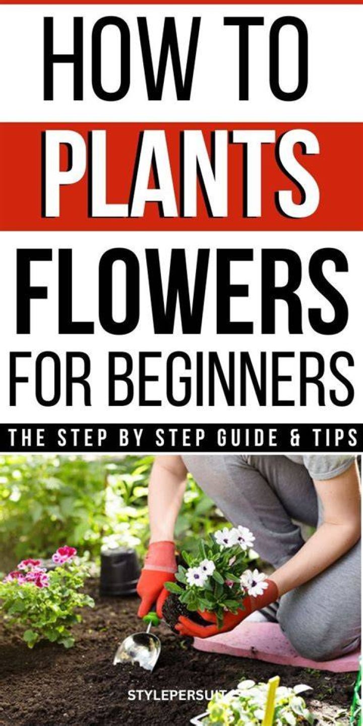 Gardening 101: How To Plant Flowers