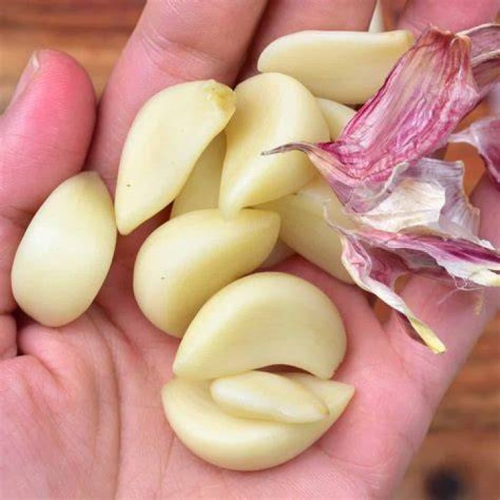 garlic