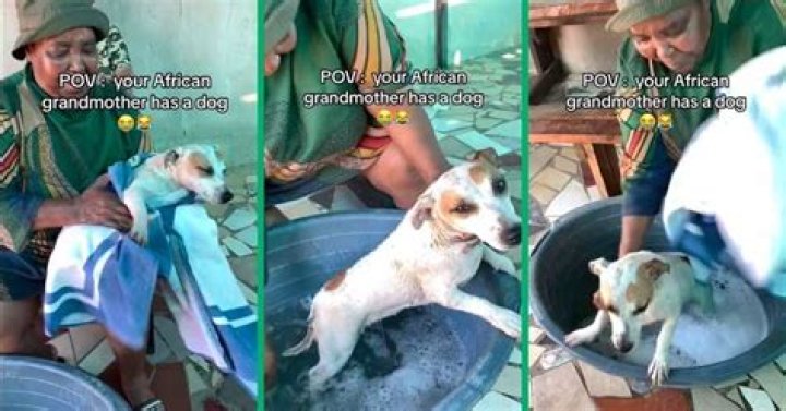 grandmothers gives dog bath