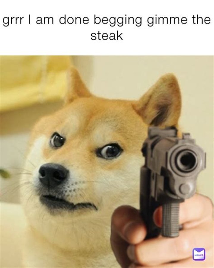 grrr I am done begging gimme the steak dru_the_poo Memes