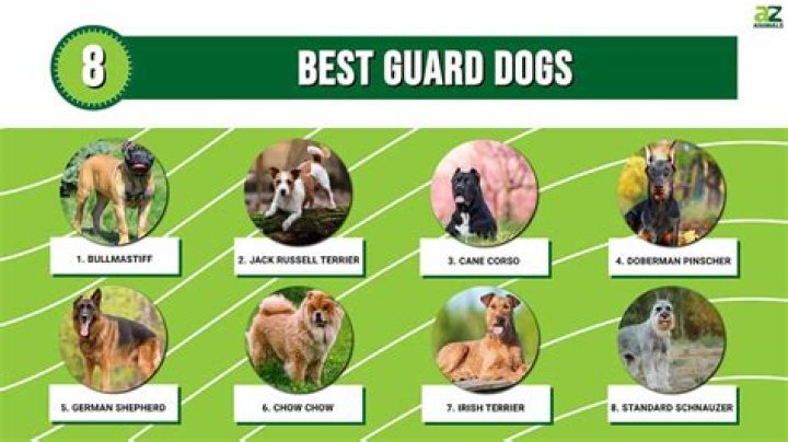 Guard dog breeds Guard dog breeds