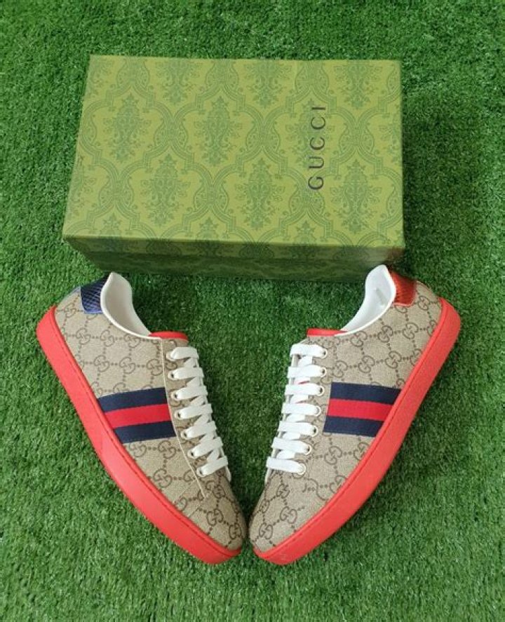 Gucci shoes prices in South Africa