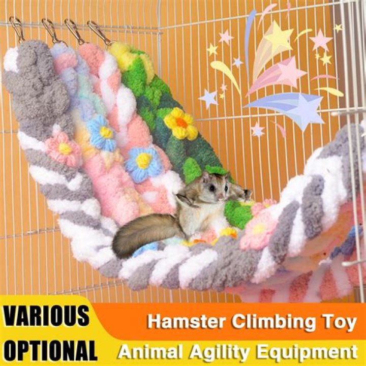 hamster on rope