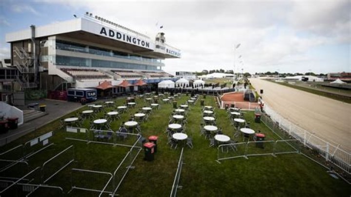 Harness racing trainer admits tubing horse and injecting it with vodka on Cup Day