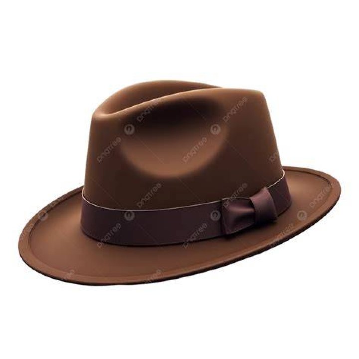 Hat, Fashion accessory, Fedora, Fashion, Headgear, Sun hat, Event, Photography, Jewellery, Style, 