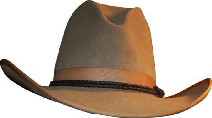 Hat, Headgear, Fashion accessory, Cowboy hat, 