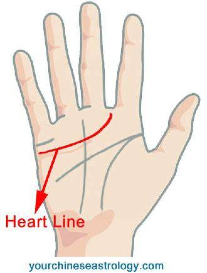Heart Line on Palm: Where to Locate it and What's Its Meaning?