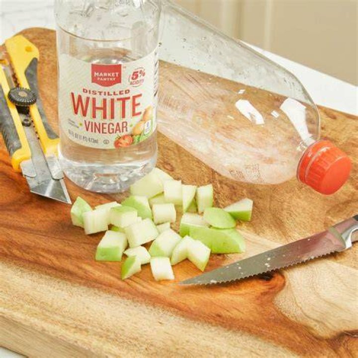 HH Handy Hint DIY bottle gnat trap