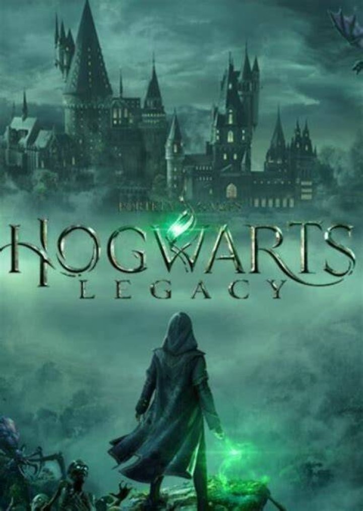 Hogwarts Legacy Fan Casting on myCast