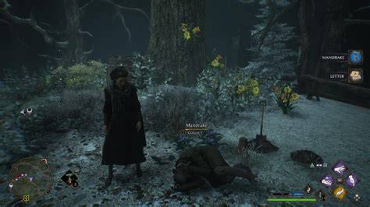 Hogwarts Legacy Mandrakes How to find