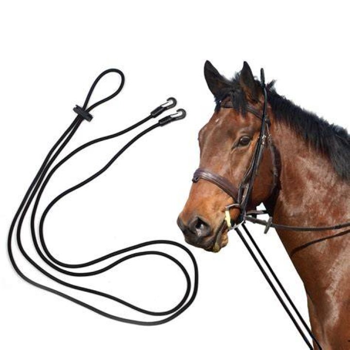 Horse, Uniform, Rein, Headgear, Horse tack, Recreation, Horse harness, Bridle, Grenadier, Middle ages, 