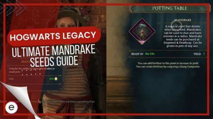 How To Get Mandrake Seeds Hogwarts Legacy