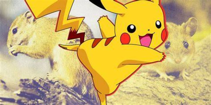Is Pikachu A Mouse Or Squirrel? Was Ash's Pikachu Actually Special?