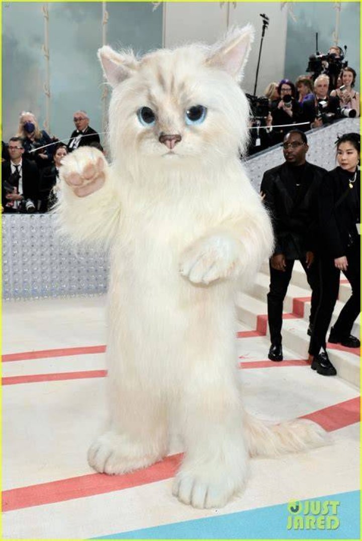Jared Leto dressed as Choupette at the Met Gala. . Photo / Getty Images.