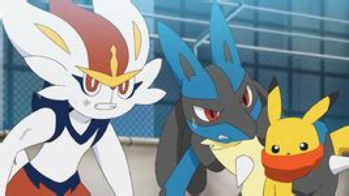 JN048: A Close Call with Practically Pikachu!