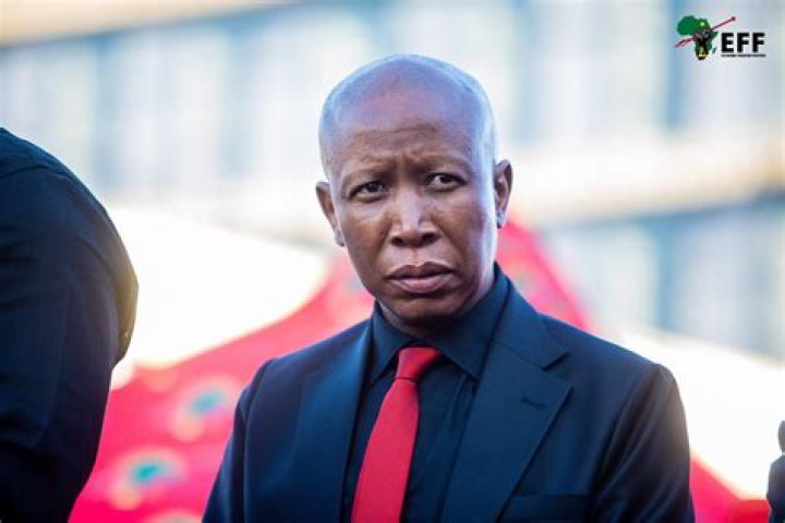 Julius Malema Latest News, Videos, Photos on We — page 2
