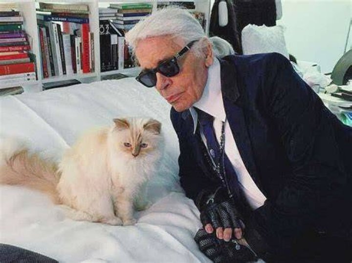 Karl Lagerfeld with his cat, Choupette. Photo / Facebook