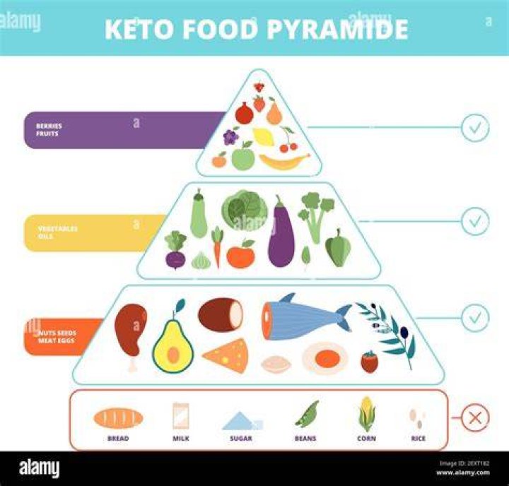 ketogenic diet with nutrition diagram, low carb, high fat healthy weight loss meal plan
