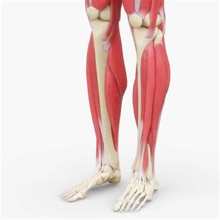 tricep dips leg, human leg, human body, chin, chest, shoulder, physical fitness, standing, joint, wrist,