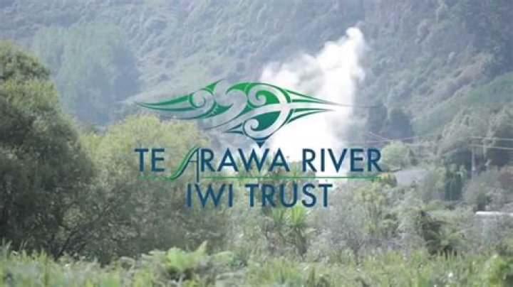 Māori environmental organisation Te Arawa Ki Tai chairwoman Raewyn Bennett. Photo / Supplied