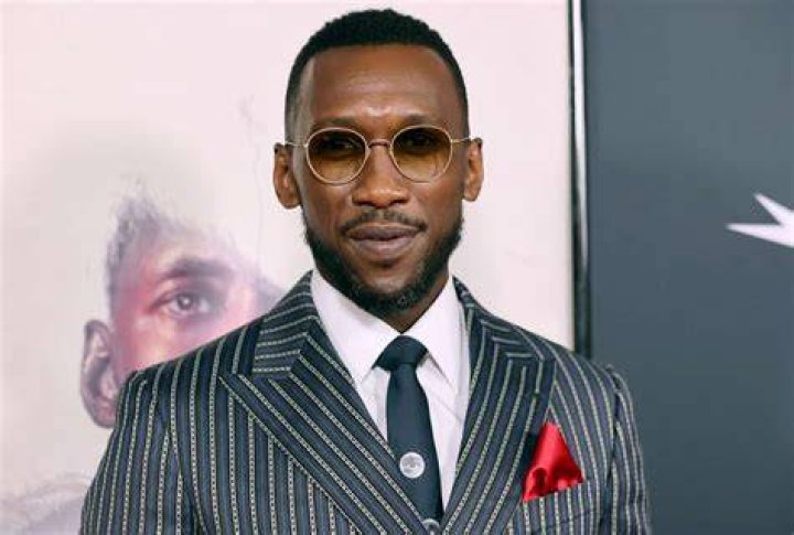 Mahershala Ali is getting US$1.3 million per episode for The Pilot.