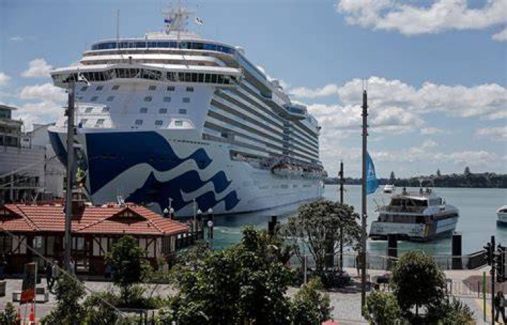 Majestic Princess cruise covid cluster due to community transmission rates says liner