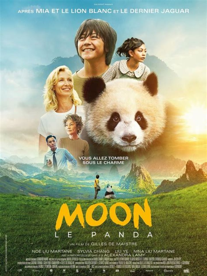 Moon Panda Moon Panda