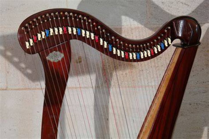 Musical instrument, String instrument, Plucked string instruments, String instrument, Musician, Guitar, Musical instrument accessory, Acoustic guitar, Music artist, String instrument accessory, 