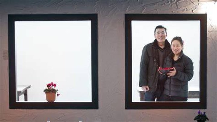 New business: From Auckland milk and cookies to Rotorua dumplings