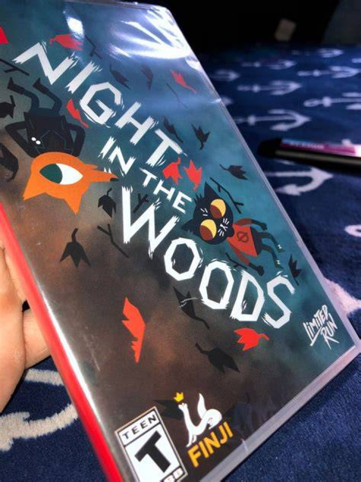 night_in_the_woods