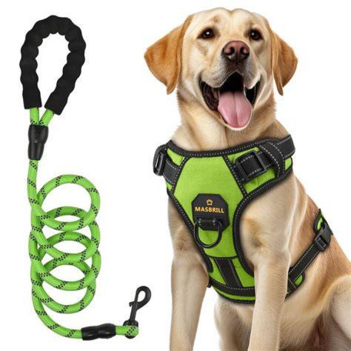 No Pull Harness For Dogs