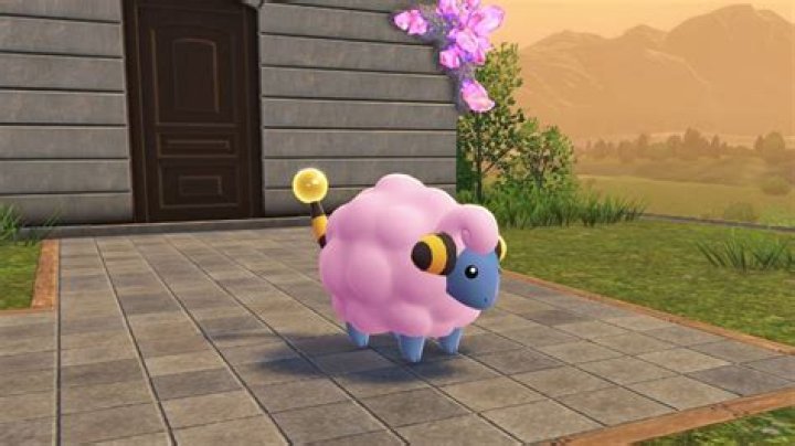 Offering: Shiny Mareep | Bulbagarden