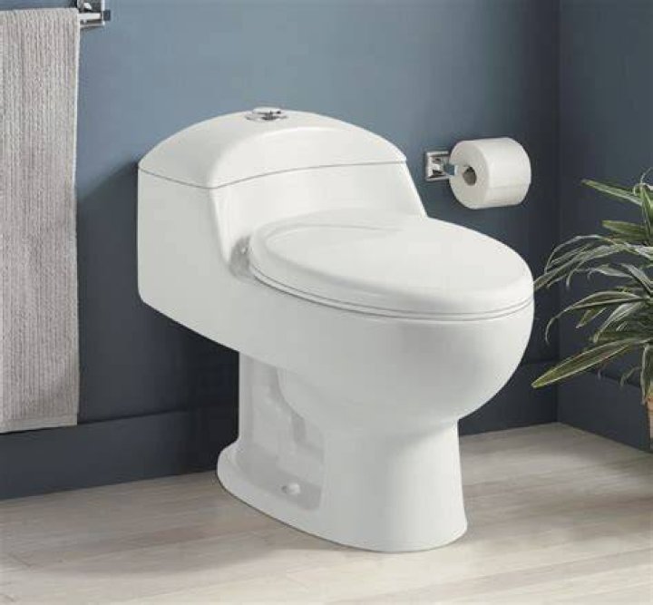 One Piece Toilet