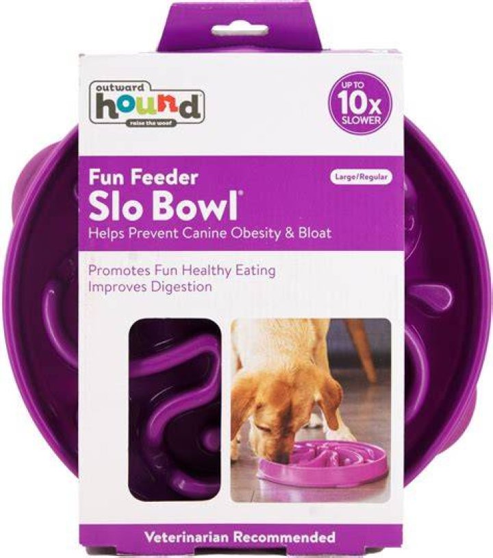 Outward Hound Fun Feeder Interactive Dog Bowl